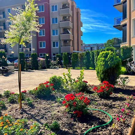 Vip Vision Lux * Slantschew brjag