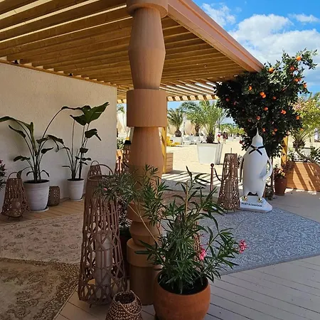 Vip Vision Lux Slantschew brjag